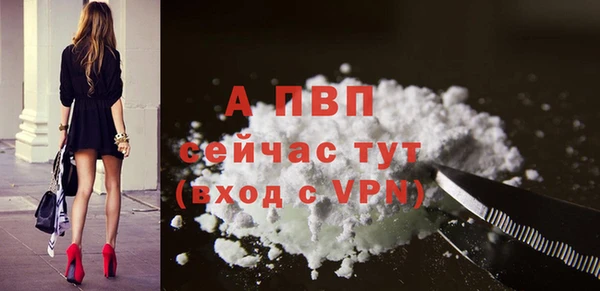 сатива Магадан