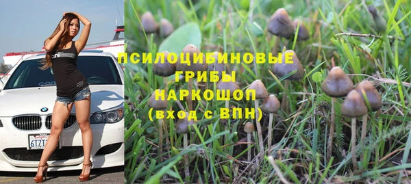 ECSTASY Майский