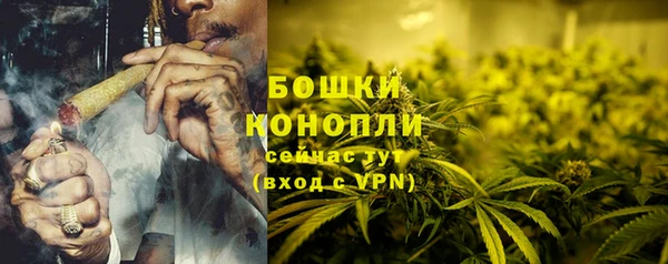 ECSTASY Майский