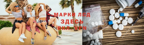 сатива Магадан