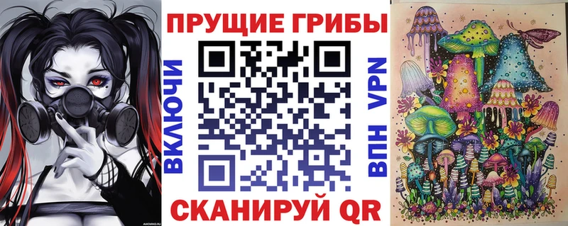 купить наркотики сайты Тихорецк сайты даркнета состав Галлюциногенные грибы прущие грибы