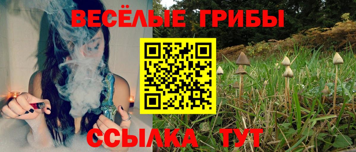 Тихорецк  Псилоцибиновые грибы Magic Shrooms  Вход с VPN 